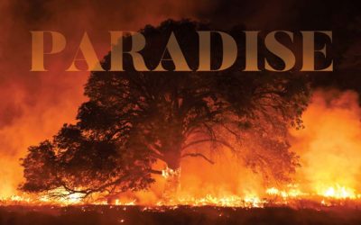 Paradise, California Wildfire